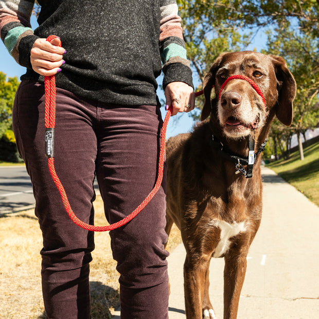 Heather demonstrating proper leash holding